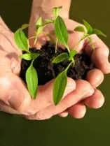 Affordable landscaping services experts serving San Jose, CA - Cyprex Construction Landscapes