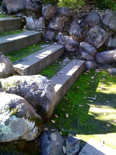 Affordable outdoor landscaping for residential properties in San Jose, CA by Cyprex Construction Landscapes