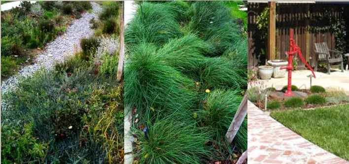 Professional landscaping services in San Jose, CA by Cyprex Construction Landscapes