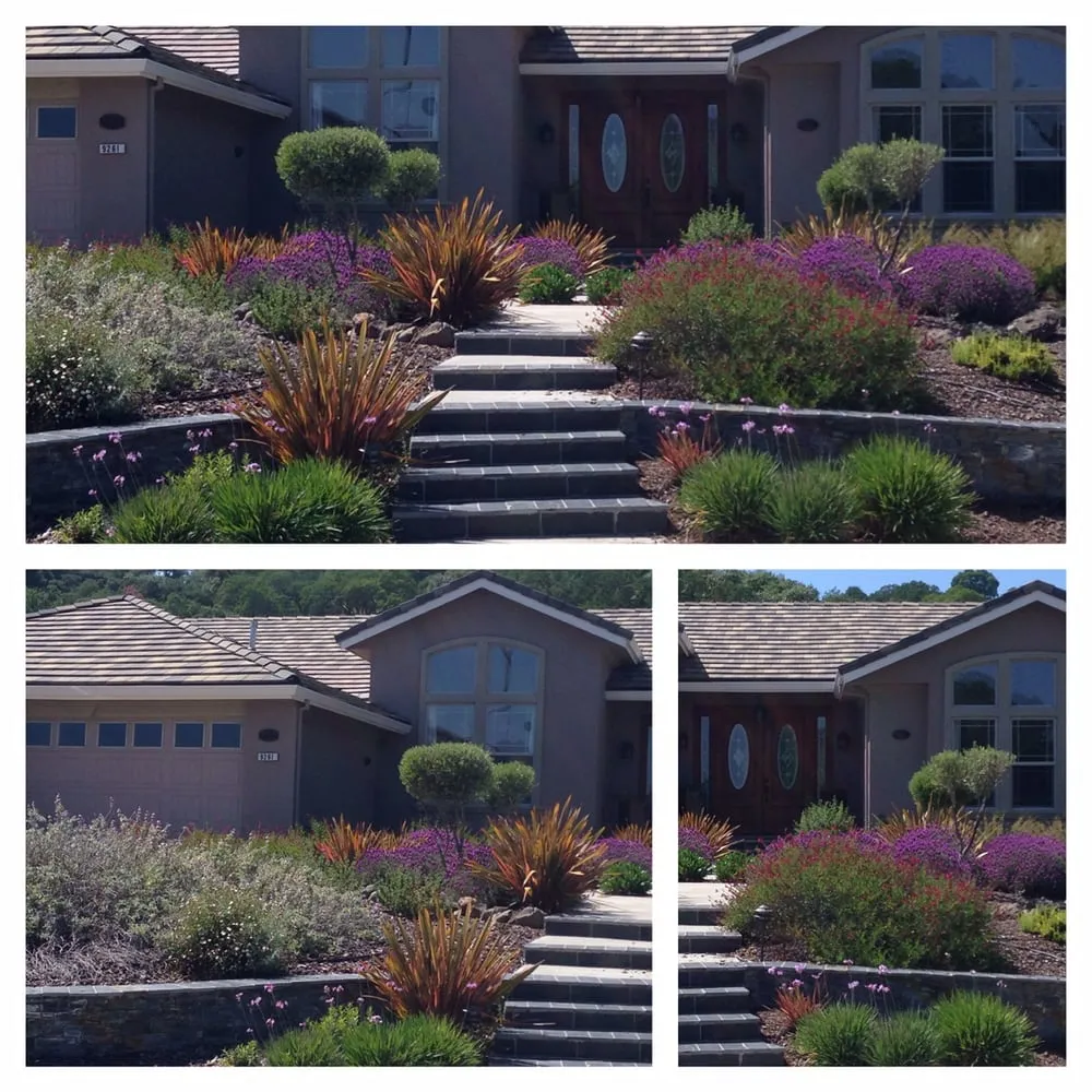 Expert garden landscaping for year-round maintenance in San Jose, CA by Cyprex Construction Landscapes