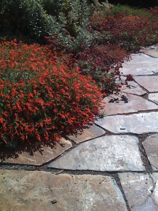 Custom landscape design in San Jose, CA - Cyprex Construction Landscapes