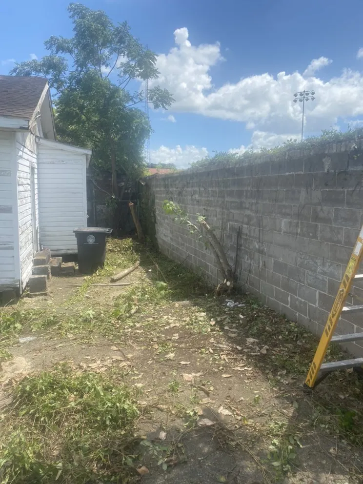 Local yard maintenance in Baton Rouge, LA - Cyrus Architectual Landscaping