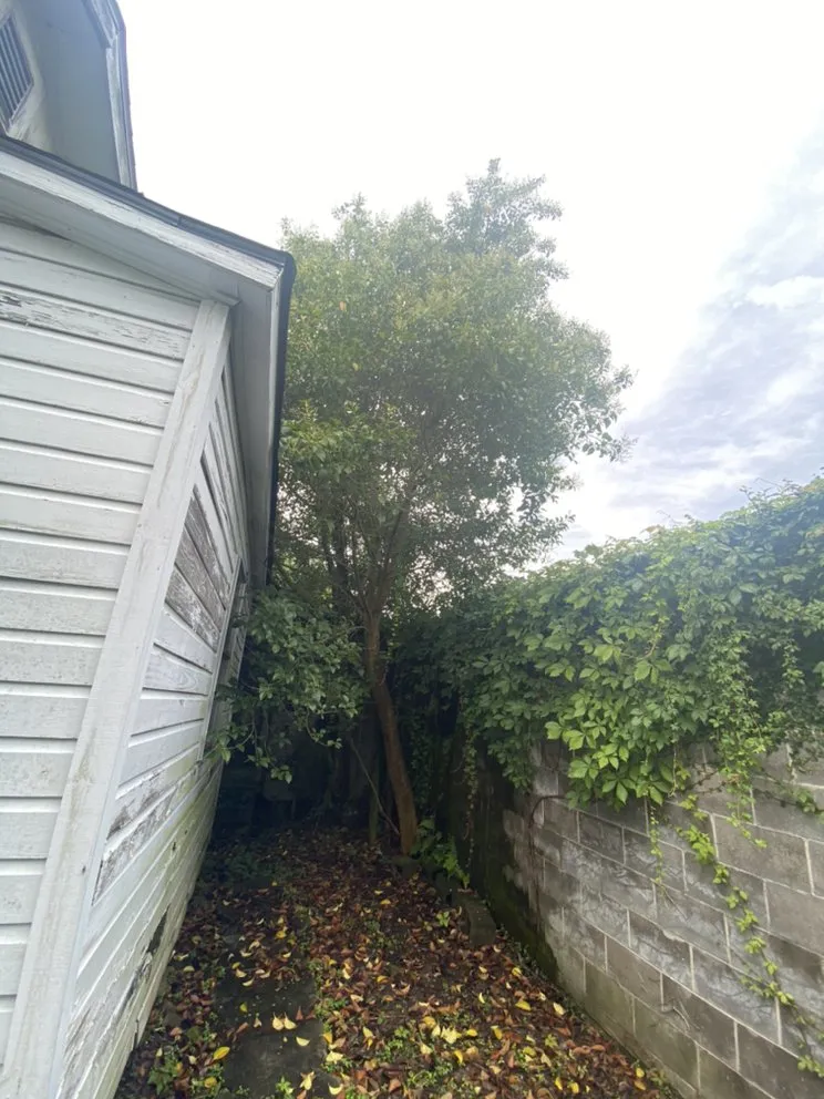 Expert landscaping services in Baton Rouge, LA by Cyrus Architectual Landscaping