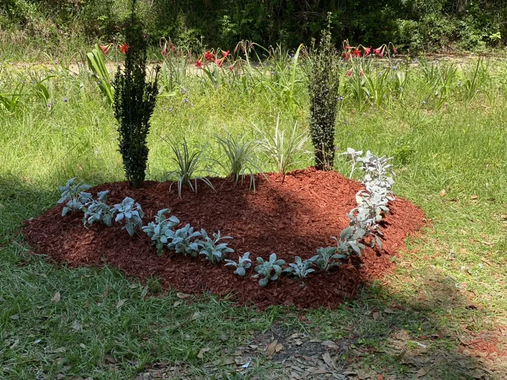 Top-rated landscaping services near you across Baton Rouge, LA - Cyrus Architectual Landscaping