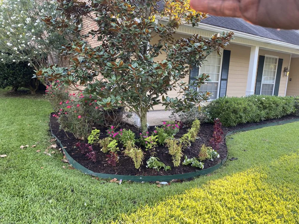 Expert lawn mowing service in Baton Rouge, LA by Cyrus Architectual Landscaping