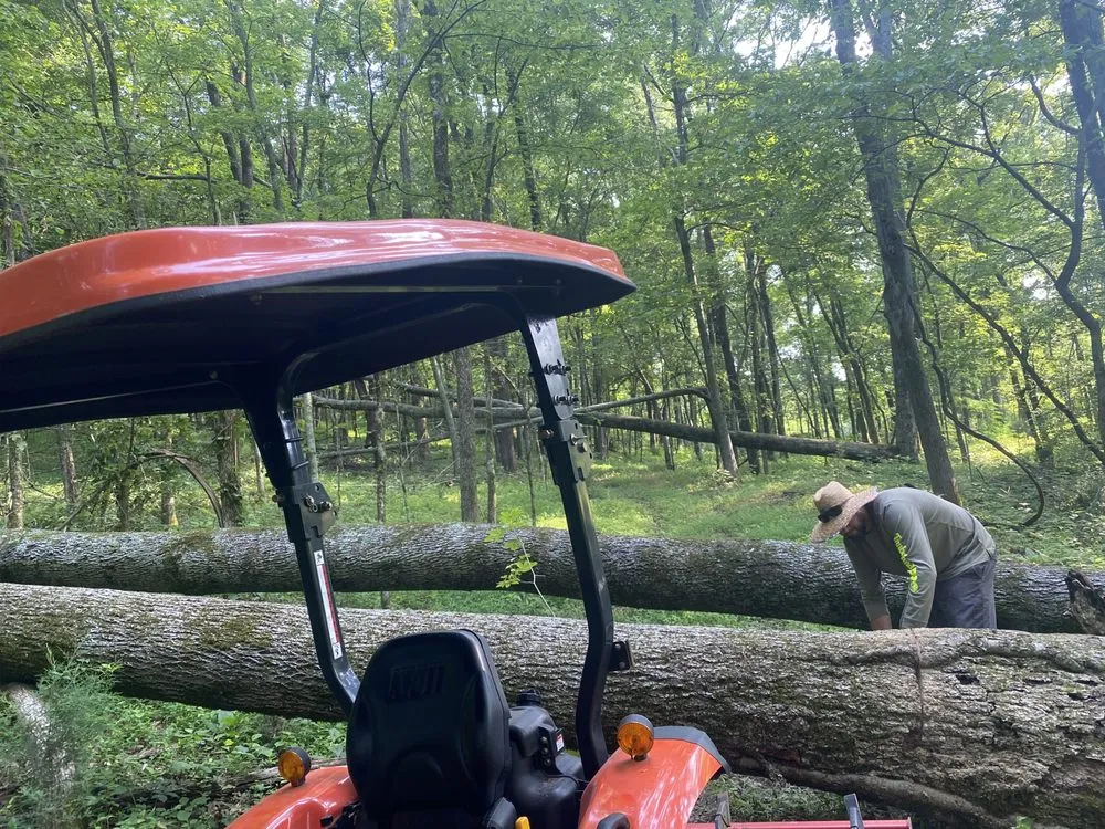 Professional landscape design for beautiful yards in Fayetteville, TN by CZ Mowing and Maintenance