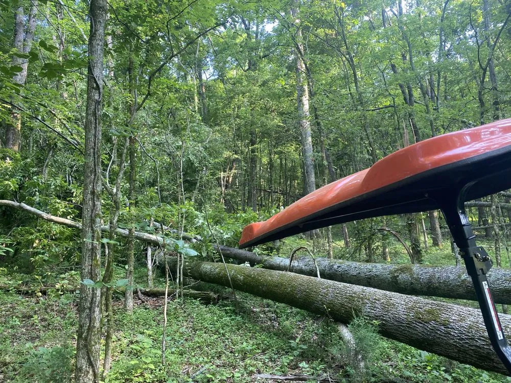 Local outdoor landscaping experts serving Fayetteville, TN - CZ Mowing and Maintenance