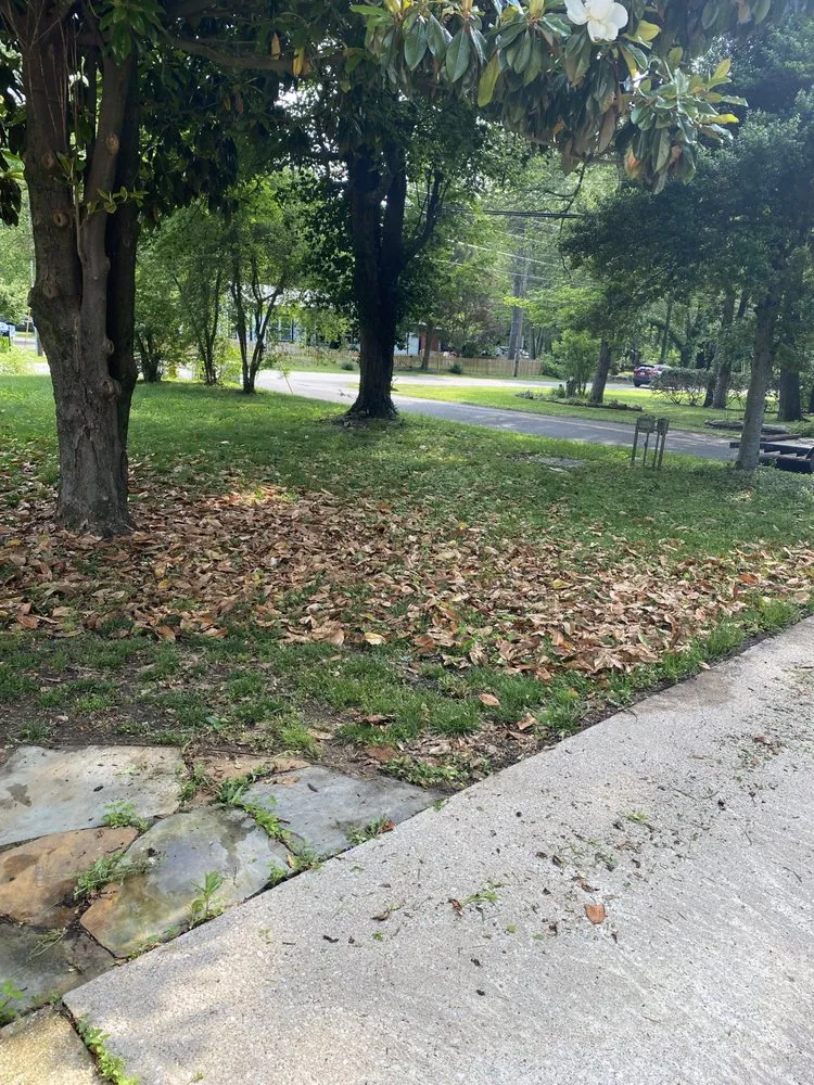 Trusted yard maintenance in Fayetteville, TN - CZ Mowing and Maintenance