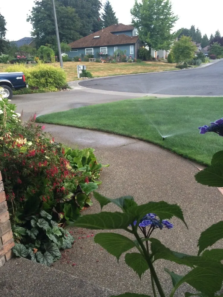 Custom landscaping services in Sumner, WA by CZ Pro Landscaping