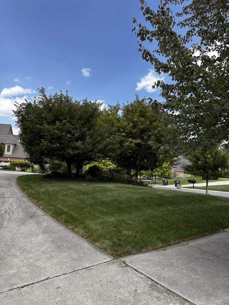 Reliable landscape design experts serving Livonia, MI - D & A Lawn Care