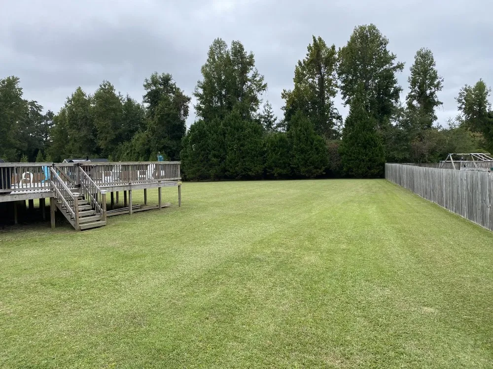 Professional garden landscaping with custom design across Cove City, NC - D & A Pressure Washing