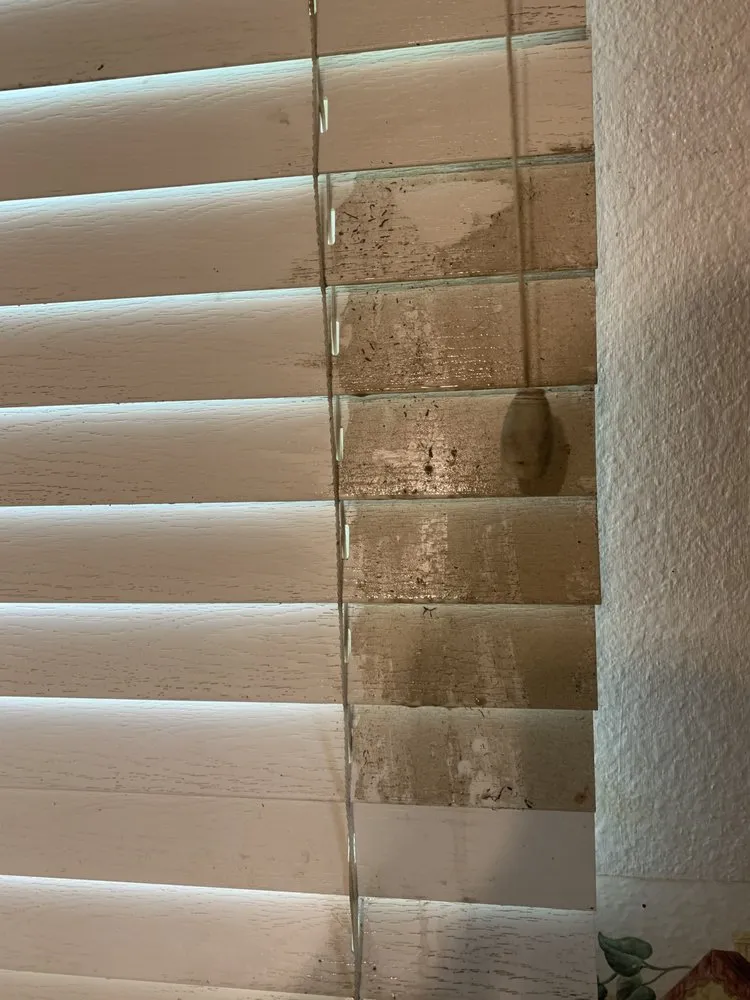 Affordable landscape design experts serving Wilsonville, OR - D & A Services