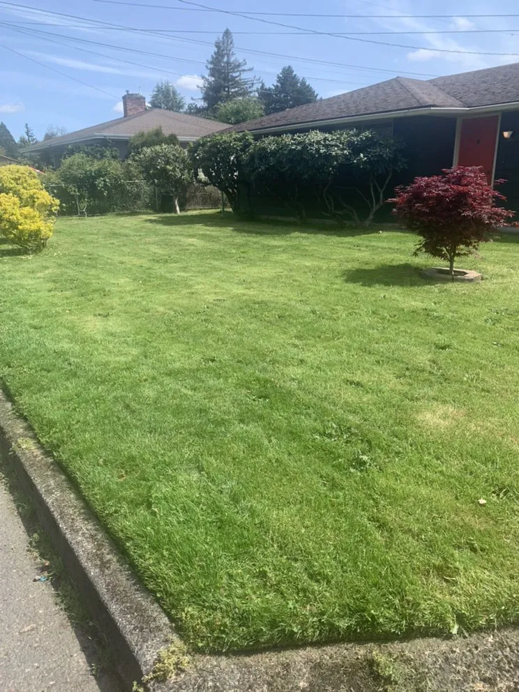Custom lawn mowing service near you across Wilsonville, OR - D & A Services