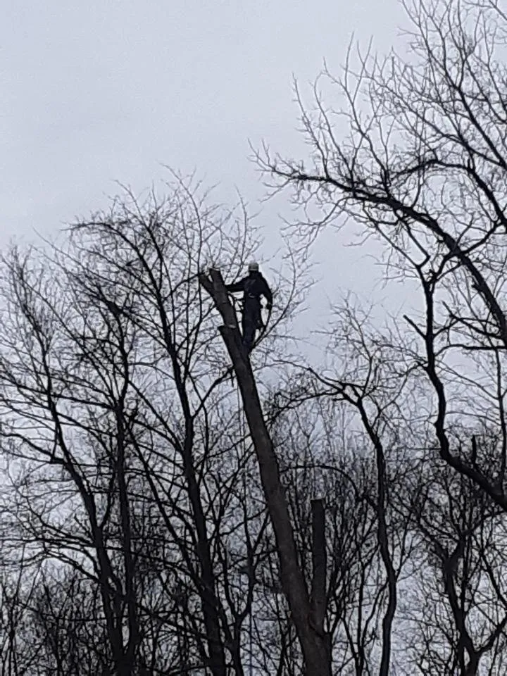 Reliable lawn care service for outdoor upgrades across Ellwood City, PA - D & A Tree & Landscaping