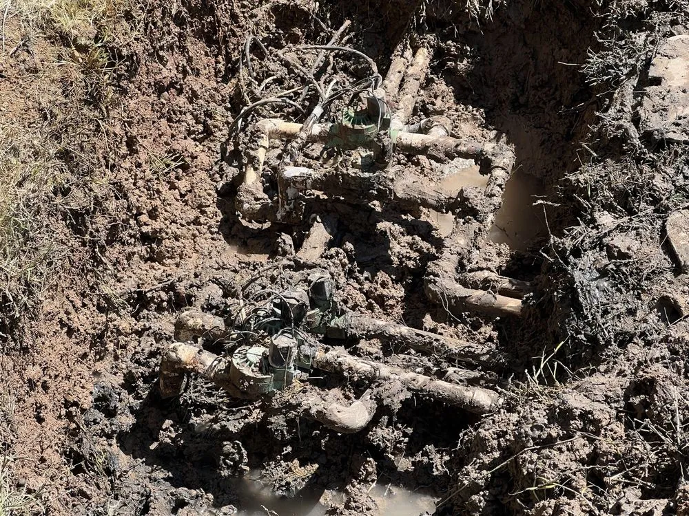 Trusted lawn care service for residential properties in Roswell, NM by D & B Landscaping