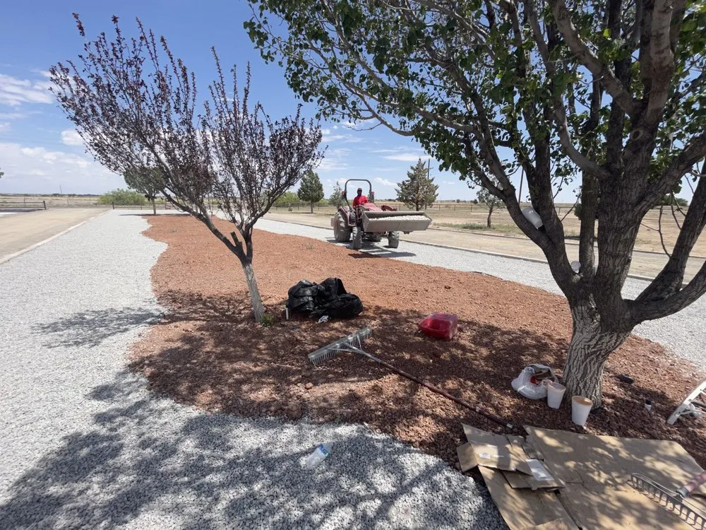 Affordable lawn care service for year-round maintenance in Roswell, NM by D & B Landscaping