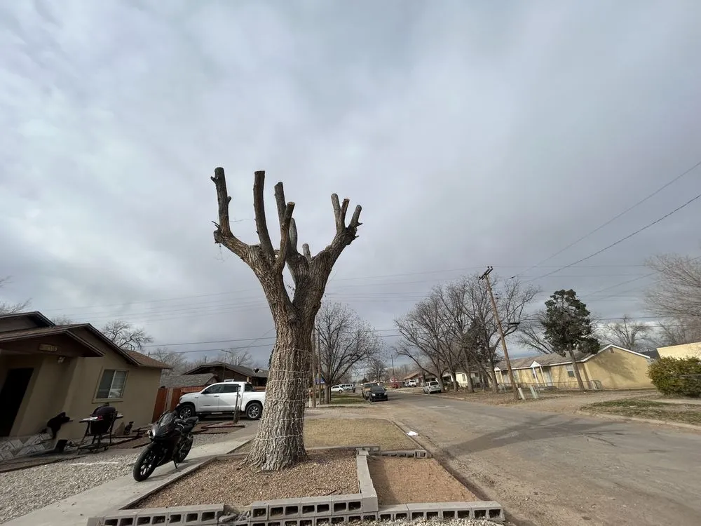 Affordable landscaping services in Roswell, NM - D & B Landscaping