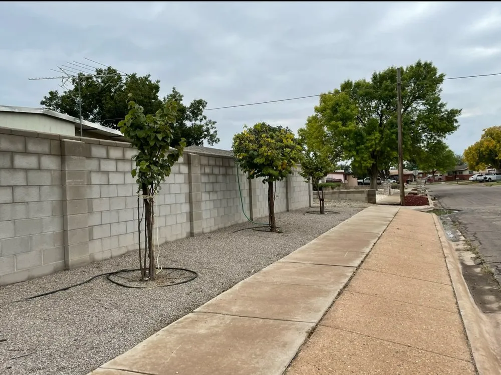 Custom lawn mowing service for residential properties across Roswell, NM - D & B Landscaping