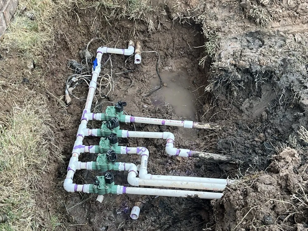 Local yard cleanup service for year-round maintenance across Roswell, NM - D & B Landscaping