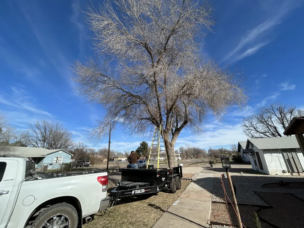 Affordable yard cleanup service in Roswell, NM by D & B Landscaping