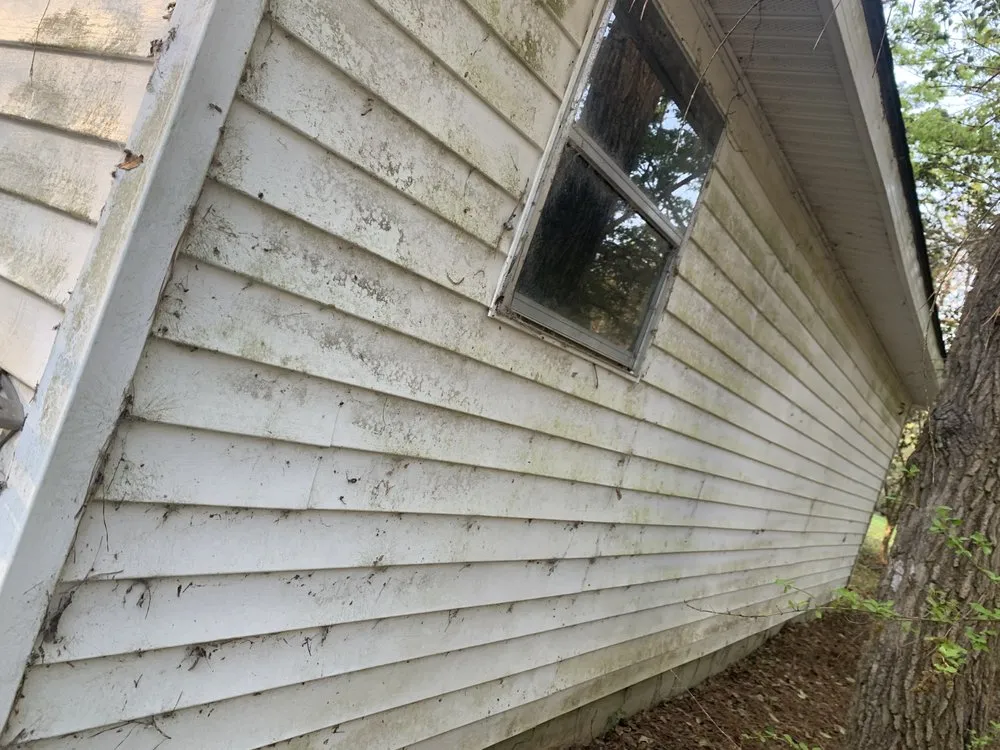 Trusted yard cleanup service in Demopolis, AL - D & B Lawn Care