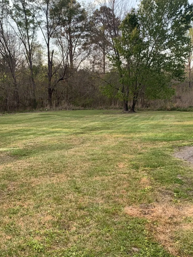 Top-rated residential landscaping in Demopolis, AL - D & B Lawn Care