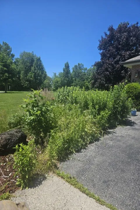 Professional outdoor landscaping with custom design across Oak Creek, WI - D & B Lawn Service