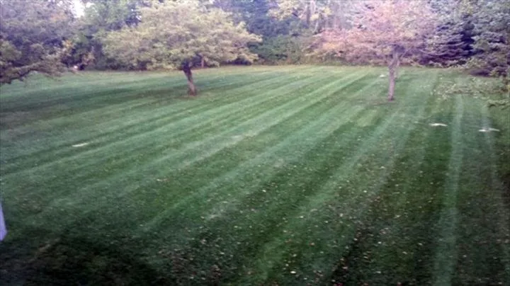 Professional landscape design for beautiful yards in Oak Creek, WI by D & B Lawn Service