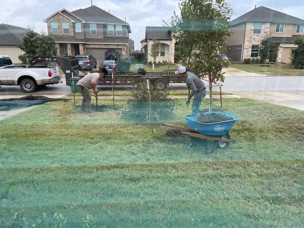 Reliable residential landscaping in Austin, TX by D & B Tree Company