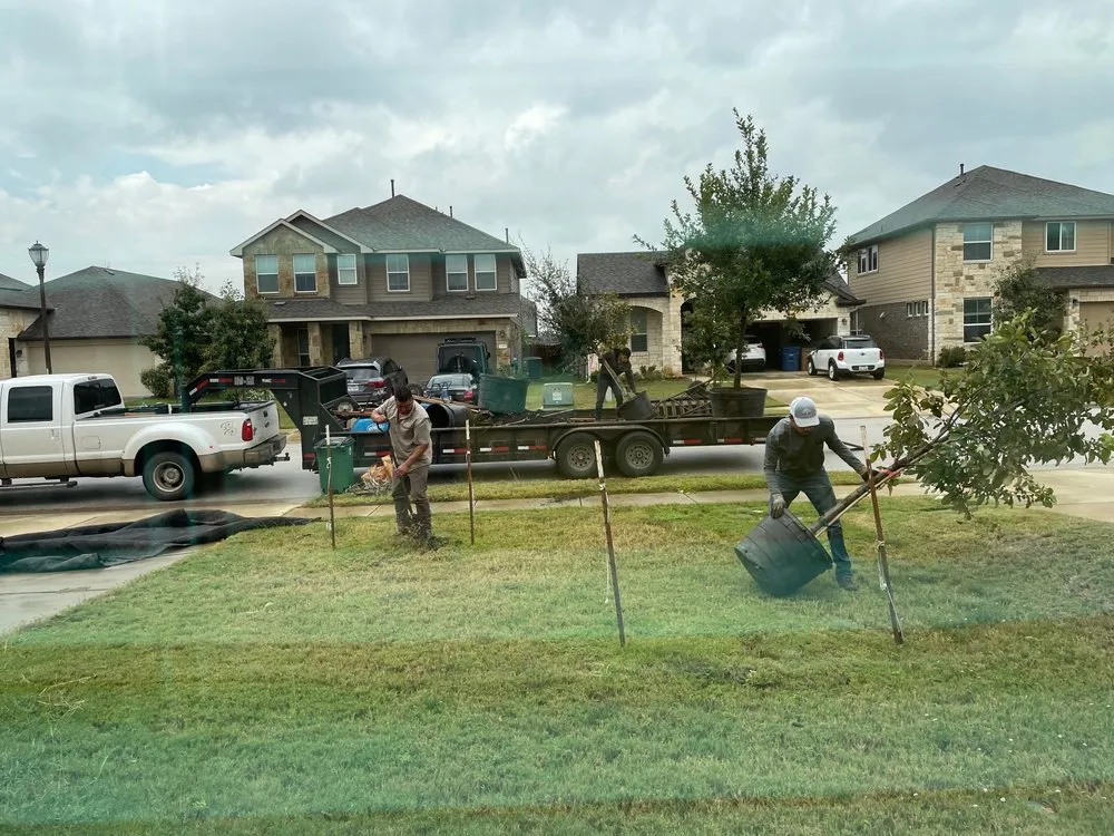 Reliable lawn care service experts serving Austin, TX - D & B Tree Company