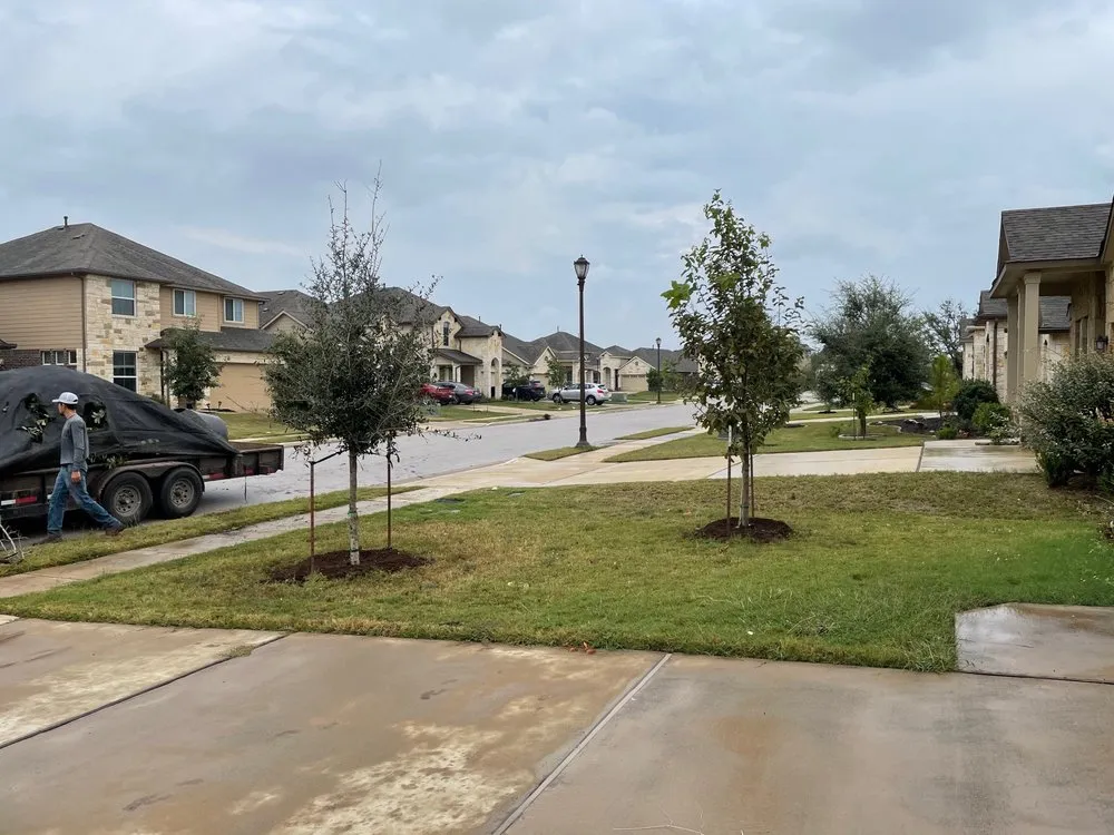 Professional lawn mowing service in Austin, TX - D & B Tree Company