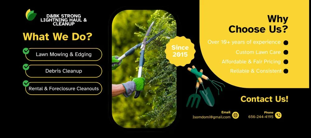 Professional landscape installation in Tampa, FL by D & Bk Strong Lightning Haul & Cleanup