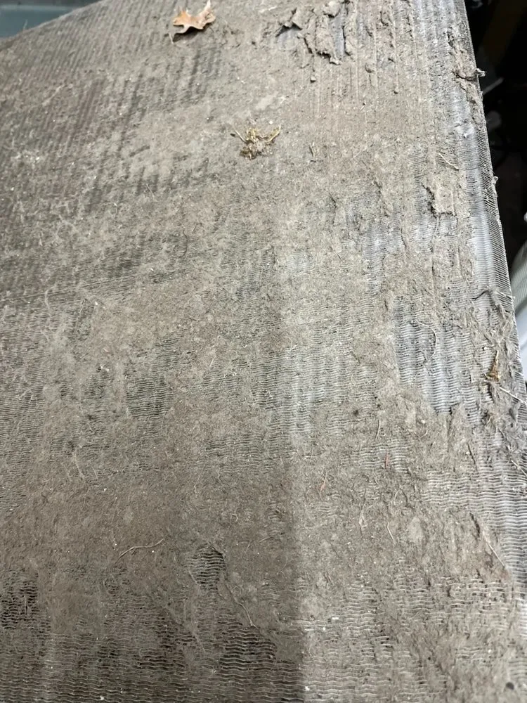 Reliable lawn care service for outdoor upgrades across Providence, RI - D & C Family