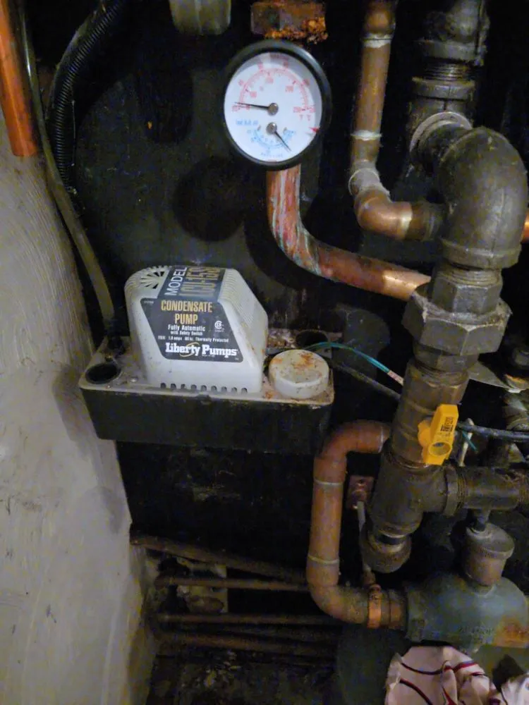 Professional landscape installation in Providence, RI by D & C Family