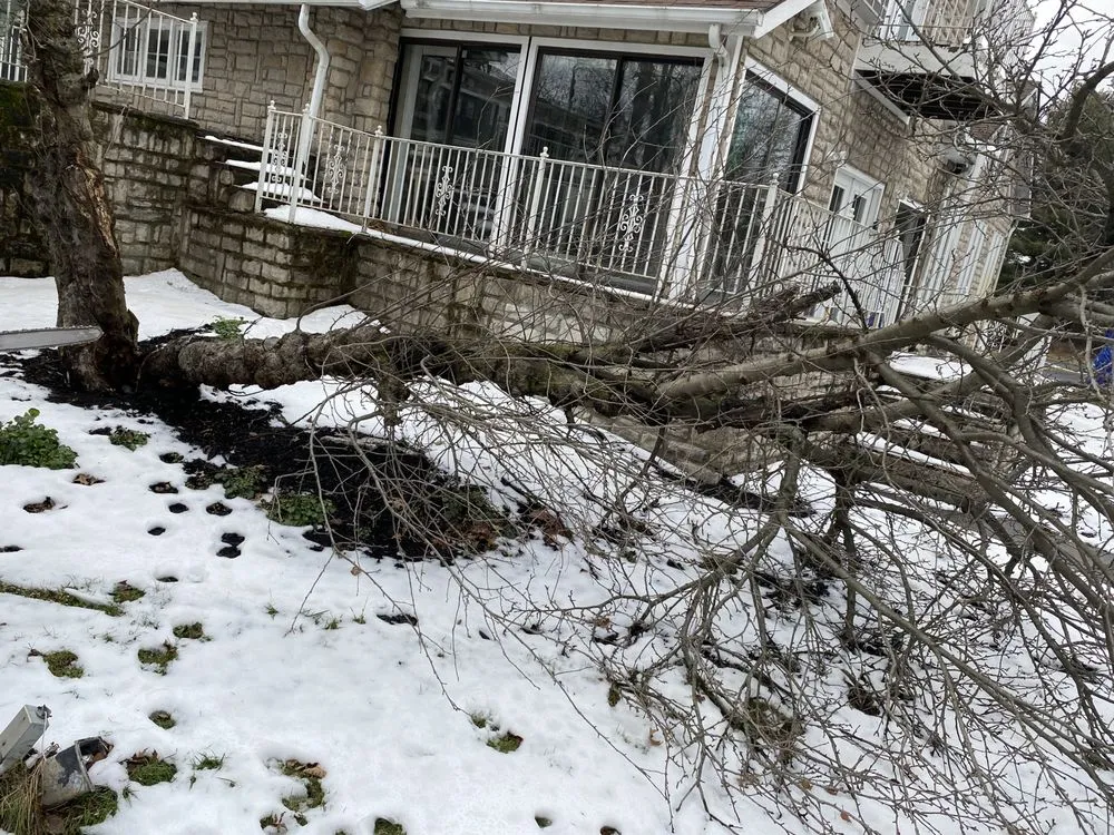 Custom landscaping services in Columbus, OH - D & C Hauling & Lawn Services