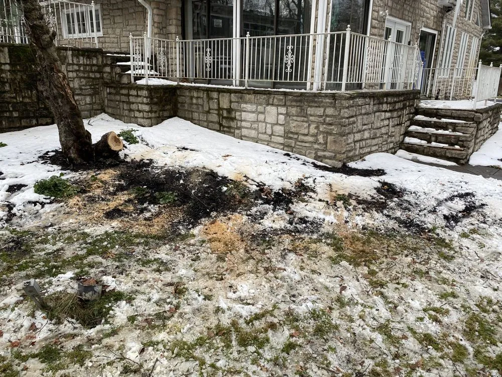 Custom yard maintenance experts serving Columbus, OH - D & C Hauling & Lawn Services