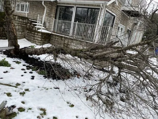 D & C Hauling & Lawn Services Logo