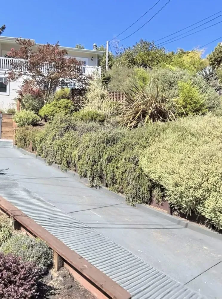 Reliable lawn care service experts serving Novato, CA - D & C Landscaping