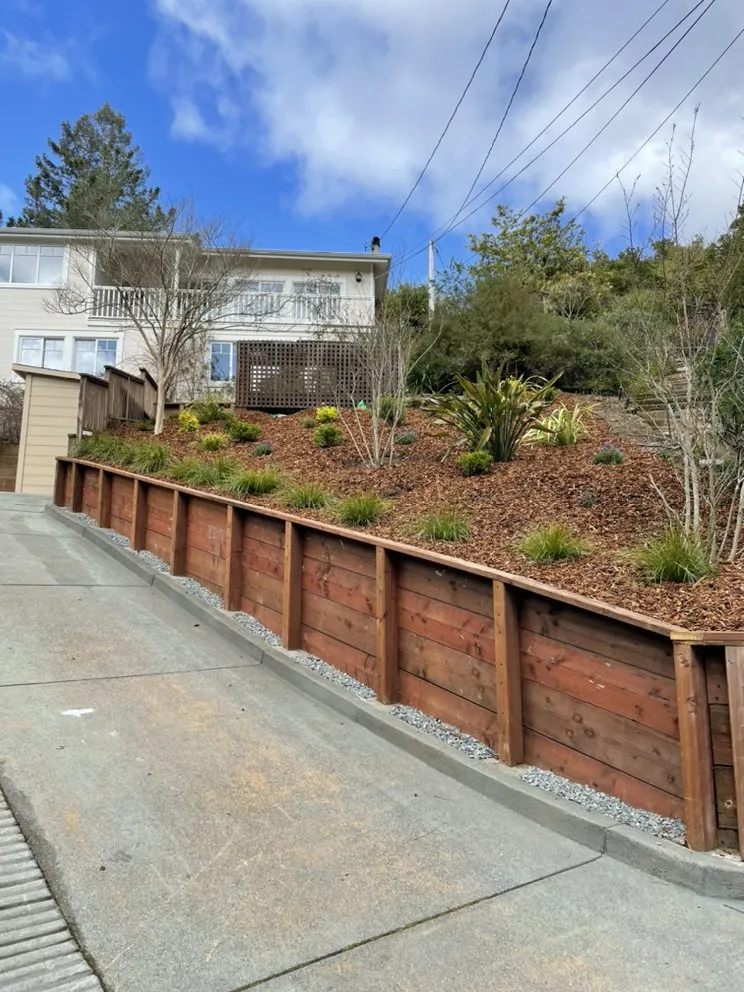 Custom lawn mowing service near you in Novato, CA by D & C Landscaping