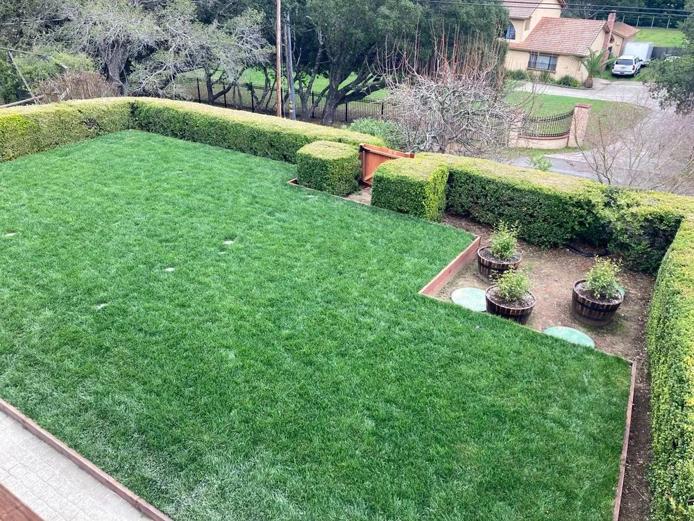 Trusted residential landscaping for residential properties in Novato, CA by D & C Landscaping