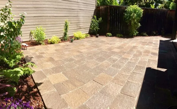 D & C Landscaping Logo