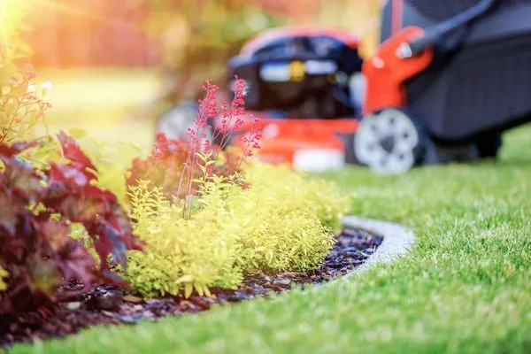 D & C Lawn and Landscaping
