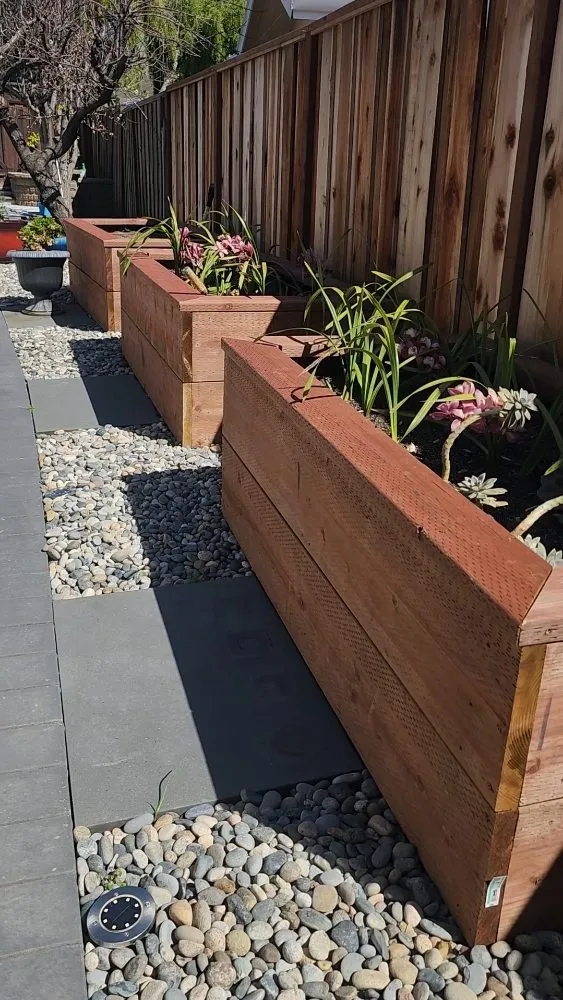 Professional yard cleanup service for beautiful yards across Fremont, CA - D & C Owl Landscape