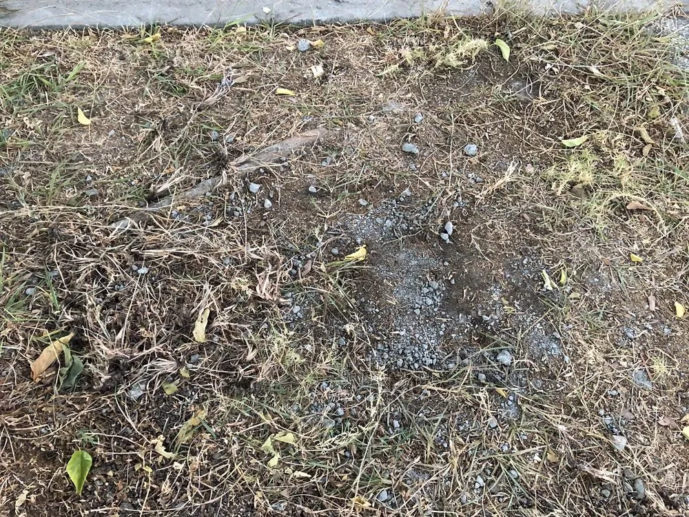 Local lawn care service experts serving Fremont, CA - D & C Owl Landscape