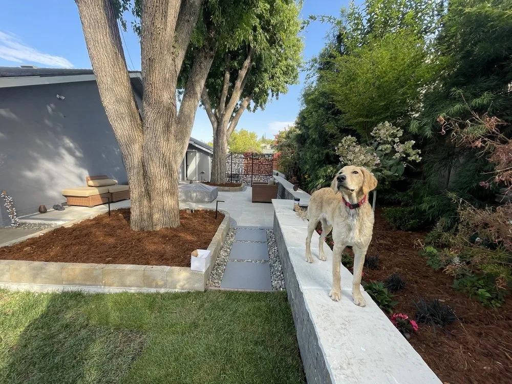 Local residential landscaping in Fremont, CA - D & C Owl Landscape
