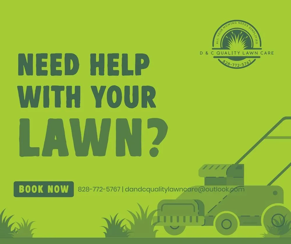 Reliable lawn care service in Leicester, NC by D & C Quality Lawn Care
