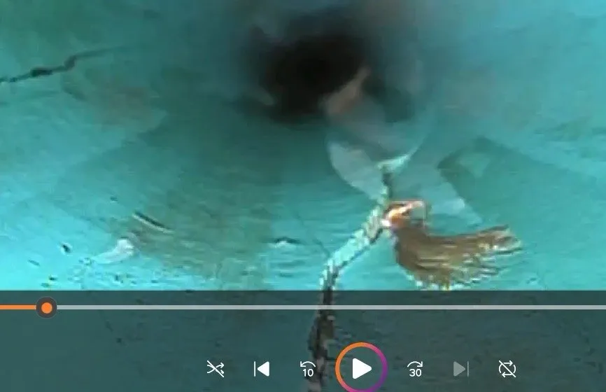 Expert landscaping services in Appleton, WI by D & D Excavating & Landscape Service