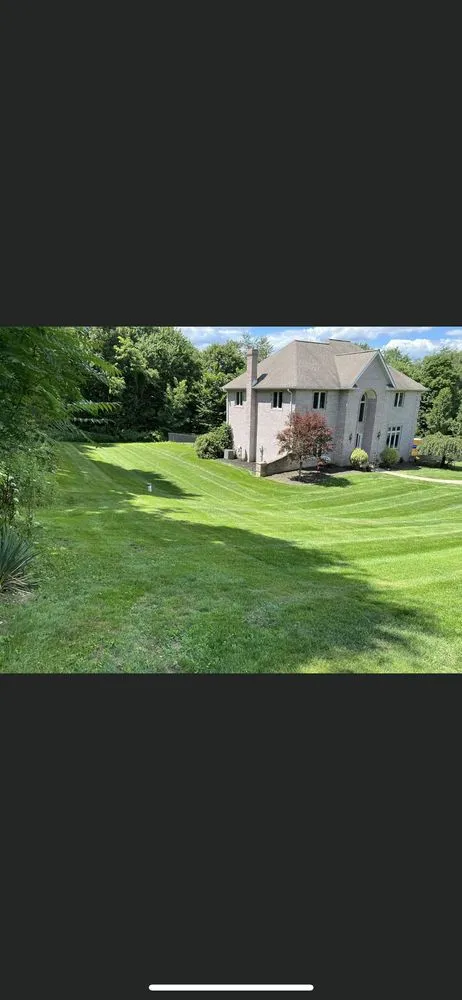 Expert yard cleanup service experts serving Georgetown, PA - D & D Excavtion And Lawn Services