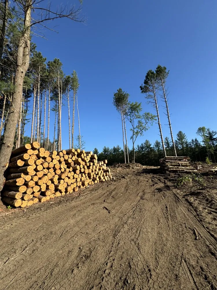 Affordable garden landscaping in Caro, MI by D & D Landcare