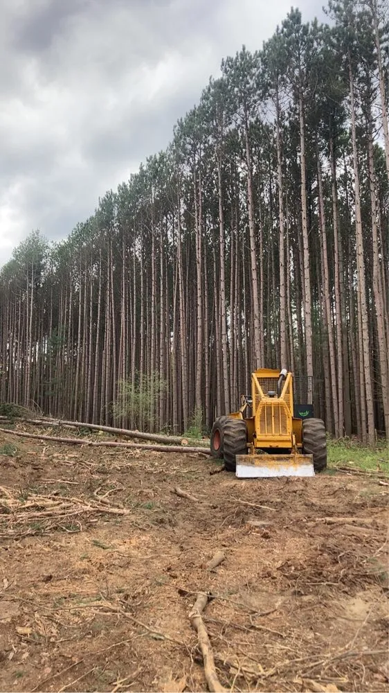 Local lawn mowing service experts serving Caro, MI - D & D Landcare